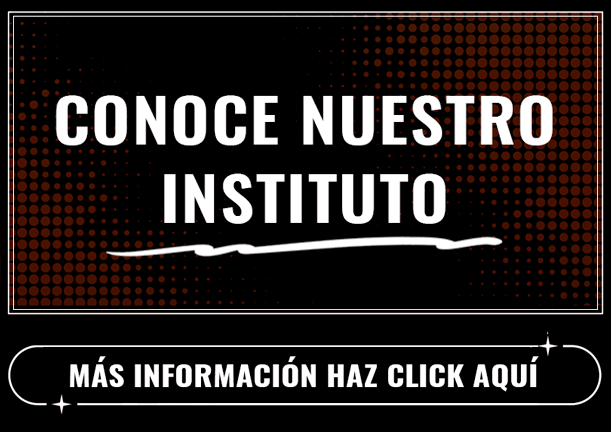 IES Txurdinaga BHI. Instituto de Txurdinaga