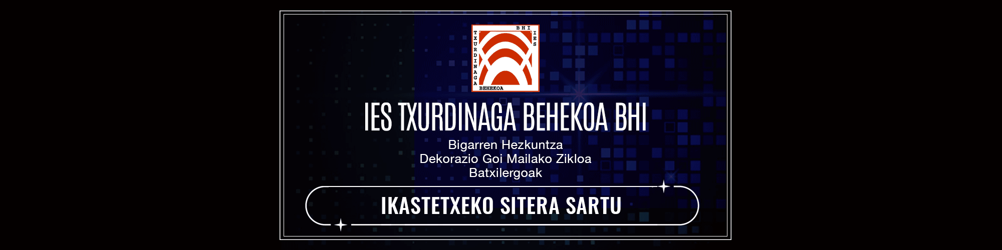 IES Txurdinaga BHI. Instituto de Txurdinaga